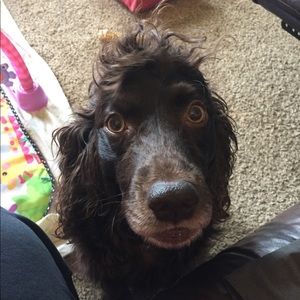 Meet your Posher, Cari